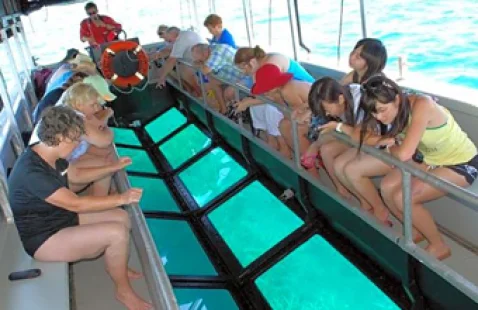 アクティビティ Glass Bottom Boat to Turtle Island indonesiatravels_co_glassbottom_boat