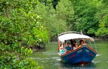 アクティビティ Mangrove Tour mangrove_indonesiatravels